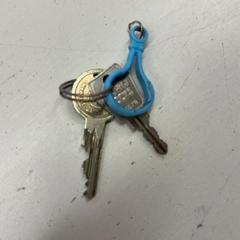 İLost kullanarak GVB tarafından bildirildiği gibi Anahtarlık