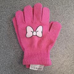 Handschoenen, zoals gemeld door Dolfinarium met iLost