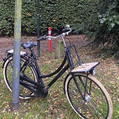 Batavus zwarte fiets, as reported to iLost
