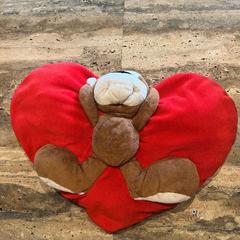 Peluche Rood, come riportato da Van der Valk Spier-Dwingeloo utilizzando iLost