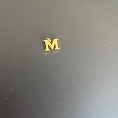 Pendel Goud, rapporterat av Regio West-Vlaanderen med iLost