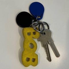 Sleutels, zoals gemeld door Gemeente Meierijstad met iLost