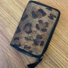 Pashouder Steenbeek, zoals gemeld door DGTL Amsterdam 2026 met iLost