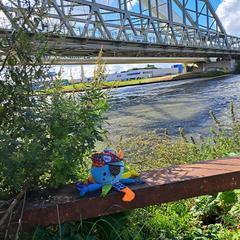 Een knuffel, segundo informou a iLost