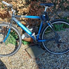 Fiets, iLost-i jakinarazi zaion moduan