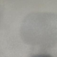 Nøkkelring, som rapportert av Walibi Holland ved bruk av iLost