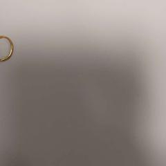 Anell, segons ha informat Padualaan 101 mitjançant iLost