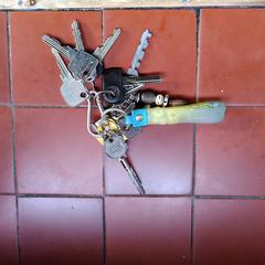 Sleutelbos, come riportato a iLost