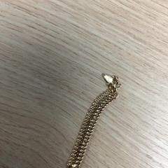 Náhrdelník, jak nahlášeno Diakonessenhuis Utrecht pomocí iLost