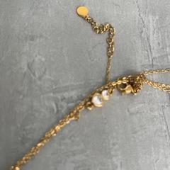 목걸이, iLost를 사용하여 Arriva Achterhoek-Rivierenland에 보고됨