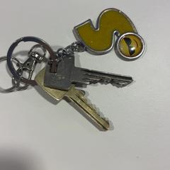 Nycklar 2 sleutels met sleutelhanger, rapporterat av Gemeente Veenendaal med iLost