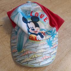 Mikeymouse petje, as reported by Dolfinarium using iLost