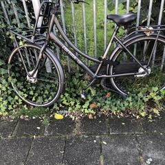 Fiets dames, som rapporterats till iLost