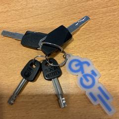 키체인, iLost를 사용하여 Gemeente Amsterdam - Bureau Gevonden Voorwerpen에 보고됨