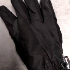 Glove Zwart, as reported by Arriva Friesland / Groningen using iLost