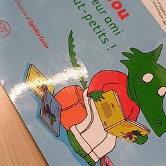 Bøker Enfant, som rapportert av IKEA Brest Guipavas ved bruk av iLost