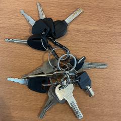 İLost kullanarak Gemeente Amsterdam tarafından bildirildiği gibi Anahtarlar