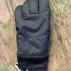 Handschuh Zwart, gemeldet von De Heeren van Aemstel über iLost