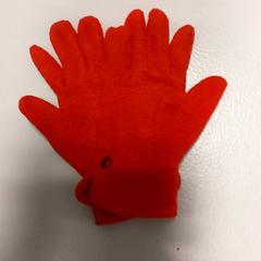 Handschuhe, gemeldet von Regio West-Vlaanderen über iLost