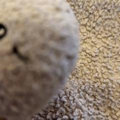 İLost kullanarak Avonturenboerderij Molenwaard tarafından bildirildiği gibi Sevimli tokat & Emzik speen met knuffellapje