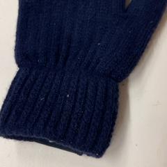 Rukavice, jak nahlášeno Het Amsterdamse Winterparadijs pomocí iLost