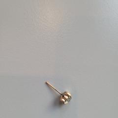 İLost kullanarak Padualaan 101 tarafından bildirildiği gibi Küpe