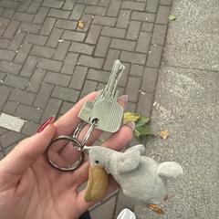 Keys, ha sido reportado a iLost