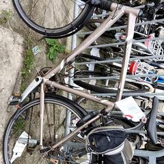 Men’s bike Trek, as reported by Stadswerk072 using iLost