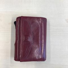 İLost kullanarak Gemeente Nijmegen tarafından bildirildiği gibi Cüzdan Wels