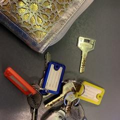 Key case with keys, as reported by Eindhoven Airport using iLost