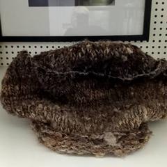 Cap bruin, come riportato da Qbuzz GD Groningen HS utilizzando iLost