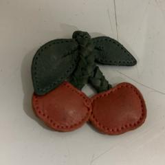 Brosch, rapporterat av Fenix med iLost