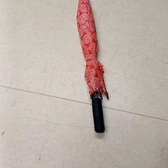 İLost kullanarak Qbuzz GD Groningen Peizerweg tarafından bildirildiği gibi Şemsiye