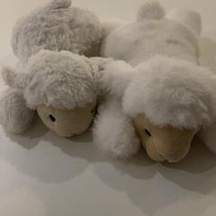 Knuffel, rapporterat av Pathé Tilburg Stappegoor med iLost