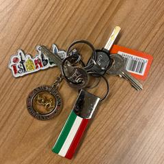 Sleutelbos, zoals gemeld door Pathé Spuimarkt met iLost