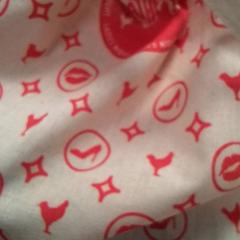 Väska Ecru, rapporterat av Qbuzz Fryslân med iLost