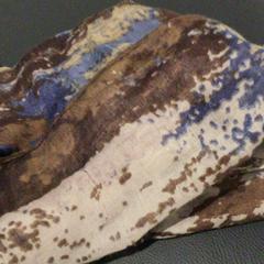 ショール Bruin blauw がiLostで IKEA Wilrijk によって報告されました