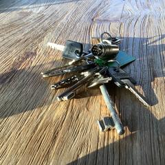 Sleutelbos, ha sido reportado a iLost