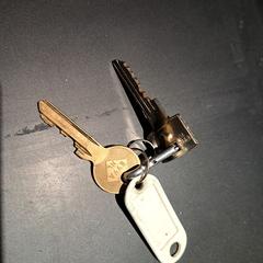 Sleutelbos, jak zgłoszono do iLost