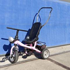 Duwfiets Free Angel Roze, come riportato da Gemeente Heusden utilizzando iLost