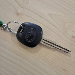 Chiavi della macchina, come riportato da Gemeente Wijk bij Duurstede utilizzando iLost