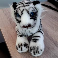 Peluix, segons ha informat EBS Tramplein mitjançant iLost