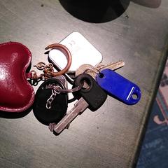 Sleutelbos, ako bolo nahlásené iLost