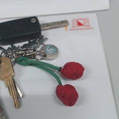 Sleutelbos, zoals gemeld door Gemeente Utrecht met iLost