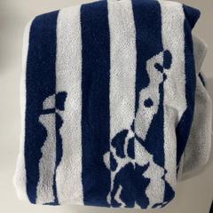 Badetuch, gemeldet von Silver Sands Beach über iLost