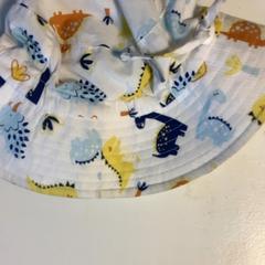 Hut Dieren, gemeldet von Artis über iLost