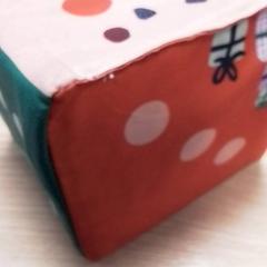 Dobbelsteen, segons ha informat Qbuzz Fryslân mitjançant iLost