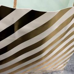 Bag, as reported by Arriva Friesland / Groningen using iLost