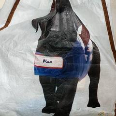 Torba - Draagtas, zgłoszono przez Regio Antwerpen - Brussel przy użyciu iLost