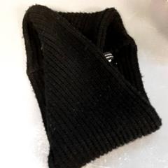 İLost kullanarak Diergaarde Blijdorp tarafından bildirildiği gibi Şal